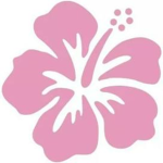 The Hibiscus Flower