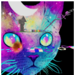 Galaxy cat obby