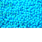 Blueberry Mountain