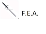 F.E.A.