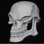 Ace Skulls