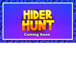 HIDER HUNT