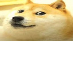 Doge reunit obby!