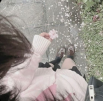 Yvanille’s Flowers