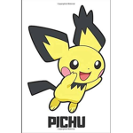 PICHU FORCES