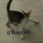 q xuxa wn