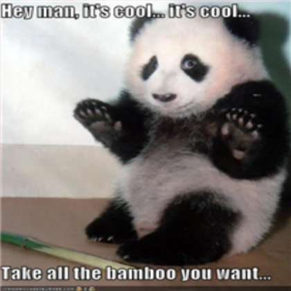 funny panda Roblox decal