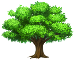 the rise of the plants