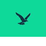 Fly Away Nation