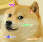 W Doge Community