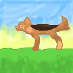 ~Dog land!~