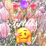 Aesthetical Tulips
