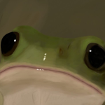 Fwoggy’s