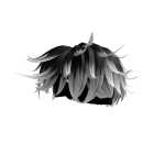 Black/White Messy Hair