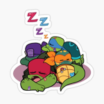 Turtle tots squad