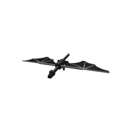 Ender Dragon..