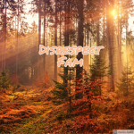 The Disrepect Fam