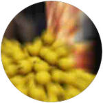CORN.png