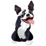 Chloe the Boston terrier fan group