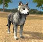 Wolfquest.org group