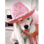 lilahsplanet