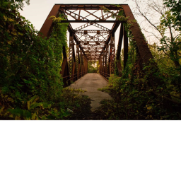 {SHOWCASE} The bridge