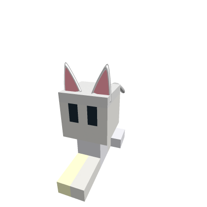 cute cat model  