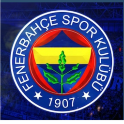 FENERBAHCE STADIUM (NEW)