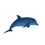 Blue Dolphin Buddy [Right]