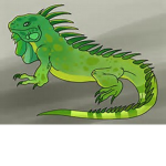 The Iguana Empire