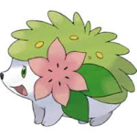 Shaymin Fan Club