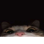 OOOOOOOOOOOO FFFFFF