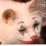 ѕтєяєσтуρєѕ