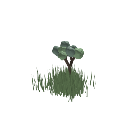 Small oak tree