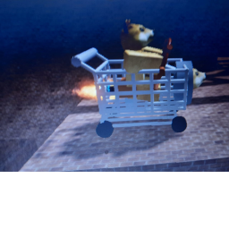 DOGE RAN