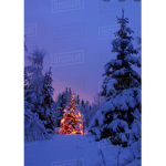 ~Dusk till Dawn~