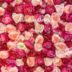 - floral aesthetics -