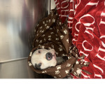 raising money for my friend