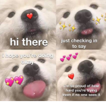 Robloxian Roleplayers