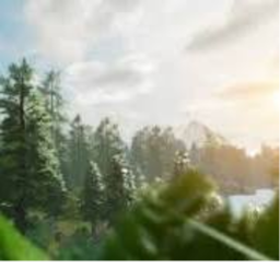 Realistic Forest 🌲