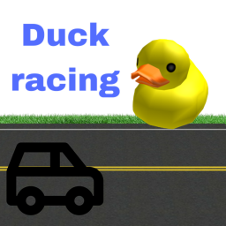 duck racing