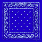 The Blue Boyz