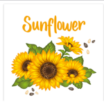 sunflower macie