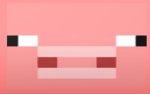 THE PIGGY PIGGY TEAM