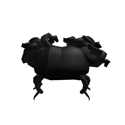 Black Curly Pigtails Roblox item