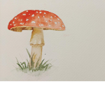 Mushroom People I guess