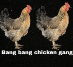 Bang bang chicken gang Rivals