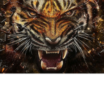 Fierce Fashion®