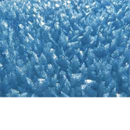Ice Fight!