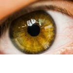 ommetaphobia